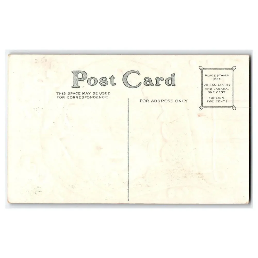 Vintage Embossed Thanksgiving Turkey Farm Scene Postcard Pre-1910 Holiday
